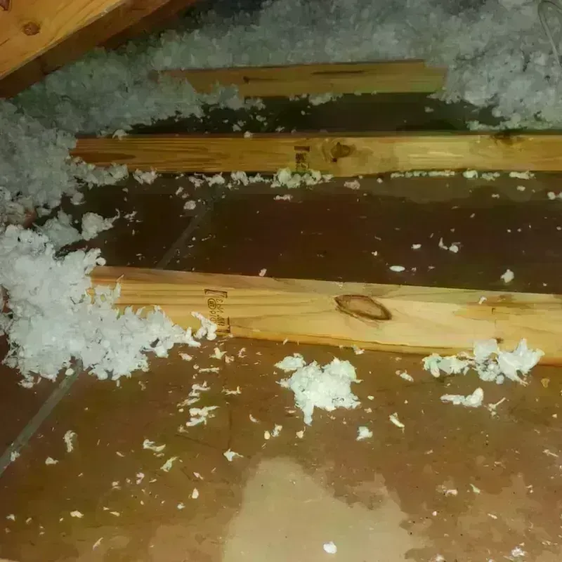 Attic Water Damage in Weakley County, TN