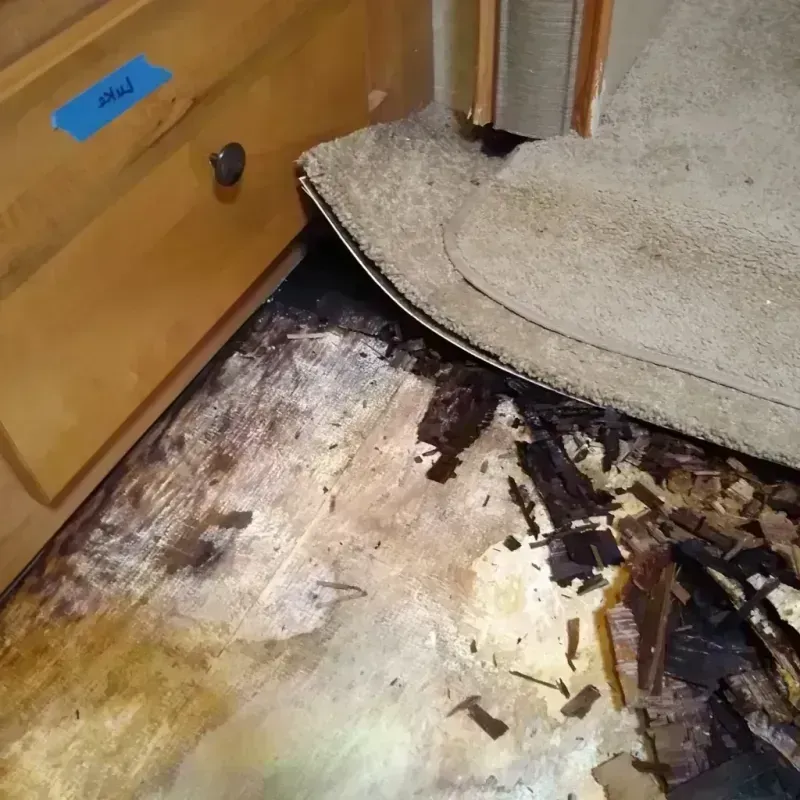 Best Wood Floor Water Damage Service in Weakley County, TN